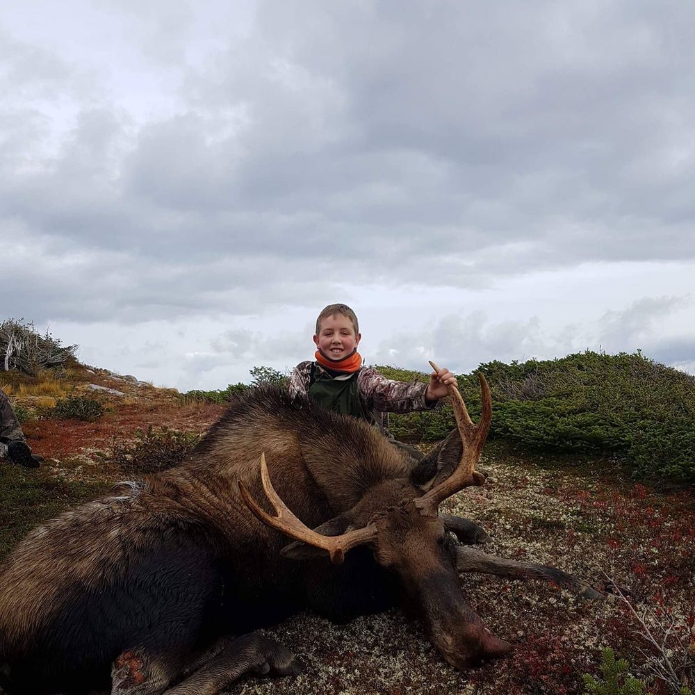 Meet your Posher, Steph